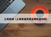 上海翠湖（上海翠湖天地五期开盘时间）