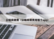 公租房缴费（公租房缴费用哪个app）