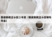 娄底新概念小区二手房（娄底新概念小区哪年开盘）