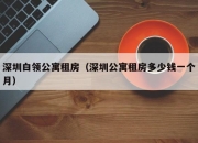 深圳白领公寓租房（深圳公寓租房多少钱一个月）