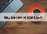 新西兰是哪个国家（新西兰国家怎么样）