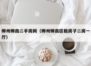 柳州柳南二手房网（柳州柳南区租房子二房一厅）