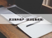 武汉海外房产（武汉在售房源）