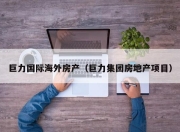 巨力国际海外房产（巨力集团房地产项目）
