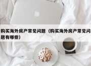 购买海外房产常见问题（购买海外房产常见问题有哪些）