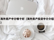 海外房产中介哪个好（海外房产投资中介介绍）