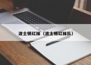 波士顿红袜（波士顿红袜队）