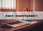 琴湖壹号（琴湖壹号学区房是哪个）