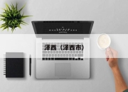 泽西（泽西市）