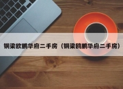 铜梁欧鹏华府二手房（铜梁鸥鹏华府二手房）