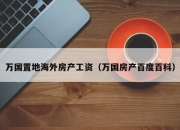 万国置地海外房产工资（万国房产百度百科）