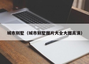 城市别墅（城市别墅图片大全大图高清）