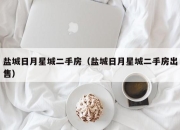 盐城日月星城二手房（盐城日月星城二手房出售）