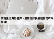 澳新集团海外房产（澳新国际供应链管理有限公司）