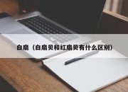 白扇（白扇贝和红扇贝有什么区别）