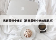 巴西是哪个洲的（巴西是哪个洲的殖民地）