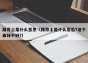 路旁土是什么意思（路旁土是什么意思?这个命好不好?）