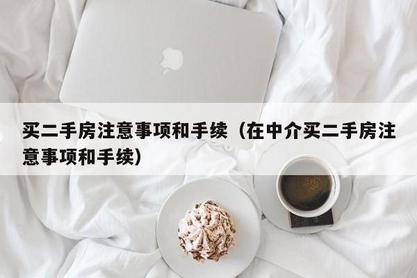 买二手房注意事项和手续(在中介买二手房注意事项和手续)