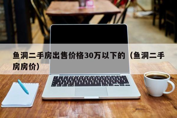 鱼洞二手房出售价格30万以下的(鱼洞二手房房价)