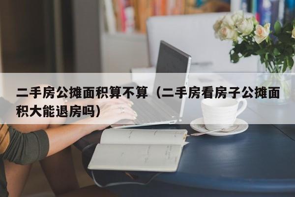 二手房公摊面积算不算(二手房看房子公摊面积大能退房吗)